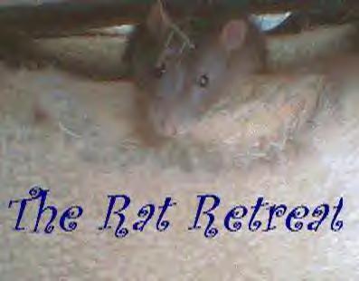 Image of ratretreat.jpg